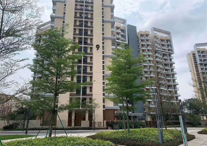 深圳小产权_深圳小产权房子光明村委统建楼公明村委统建房(深圳公明村委建的小产权房可以买吗)
